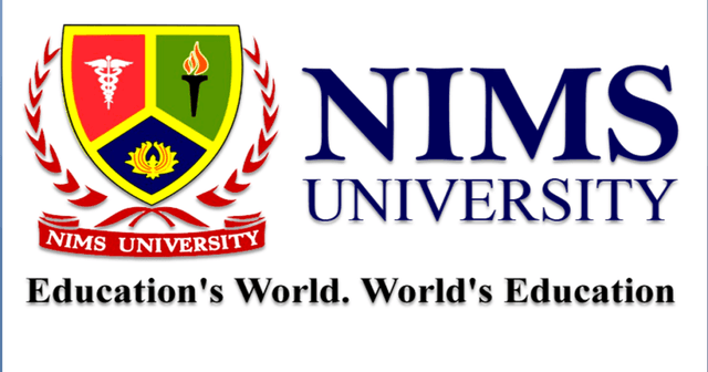 NIMS University